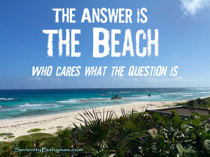 The answer is the beach. Who cares what the question is.